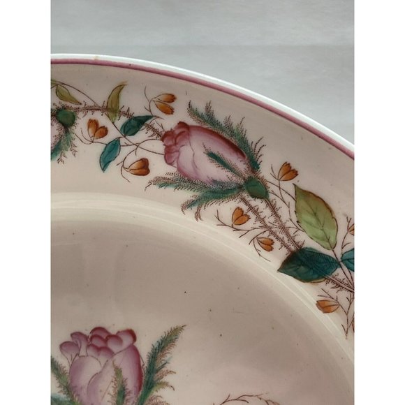 Moss Rose Ironstone 1890 - 1920 DINNER PLATE Beautiful Cottagecore Piece - Picture 7 of 12